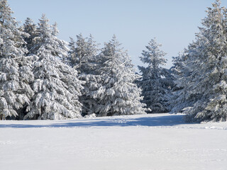 Winter Landscape of Vitosha Mountain, Bulgaria