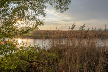 A tranquil scene unfolds at dawn on a serene lake, with the soft light of the early spring morning casting a gentle glow over the landscape