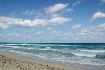 Scenic Turquoise Water Waves of the Caribbean Sea