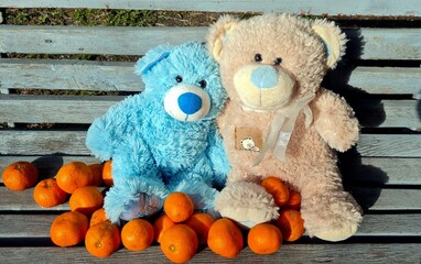 Teddy bears with tangerines sitting on a bench