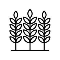 Obraz premium rye icon, rye line art - simple line art of rye, perfect for rye logos and icons and themed design 