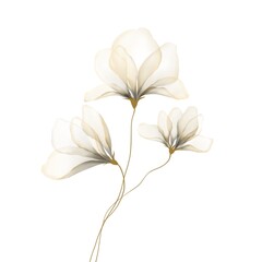 Flowers background illustration art watercolor print art 