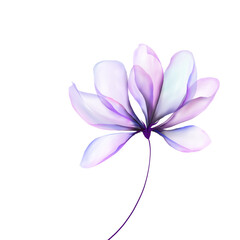 Flowers background illustration art watercolor print art 