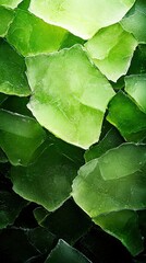  A photo of several green glass pieces with water droplets on the surface of each piece