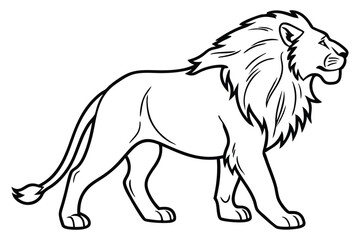 lion outline drawing