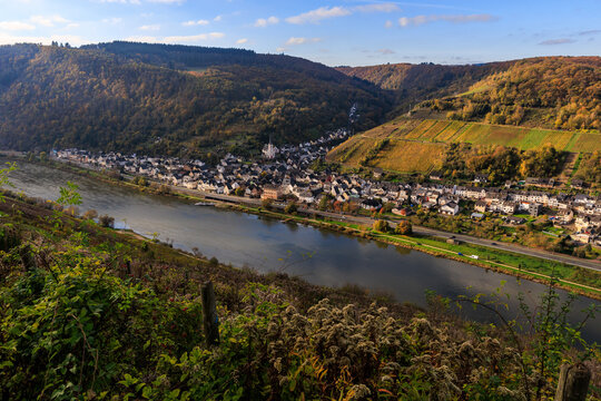 Blick vom Weitwanderweg Moselsteig auf den Fluss Mosel und den Ort Briedel 