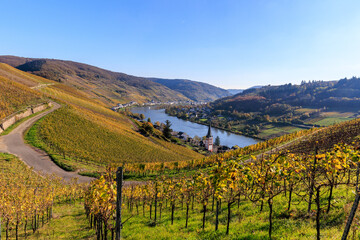 Blick auf Weinberge, die Mosel und den Ort Merl sowie den Ort Zell im Hintergrund vom Weitwanderweg Moselsteig im Winter