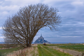 Mont-Saint-Michel, naked leaning tree framing the Mount and the Abbey-Church from a pré-salé or salt-marsh meadow to the west. Normandy-France-186