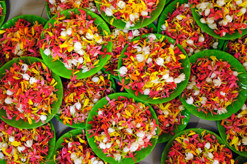 Thien Quang buddhist pagoda. Flower petals for Vesak celebration. Tan Chau. Vietnam.