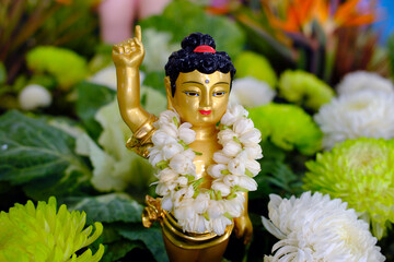 Thien Quang buddhist pagoda.  Infant Buddha statue pointing the north. On Vesak Day, Buddhists ...
