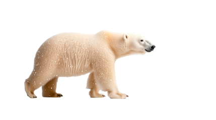 Polar bear walking across an icy landscape under bright light in a cold environment
