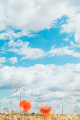 Beautiful bright blue sky with white clouds against the backdrop of a poppy field and windmills