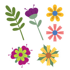 Flowers of different types and colors, yellow, blue, pink, purple and green leaves that welcome spring.