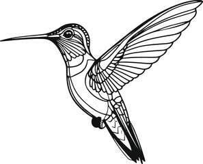 only line art in a bold line of a Humming Bird Continuous line art vector with no color background 4.eps
