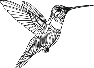 only line art in a bold line of a Humming Bird Continuous line art vector with no color background 6.eps