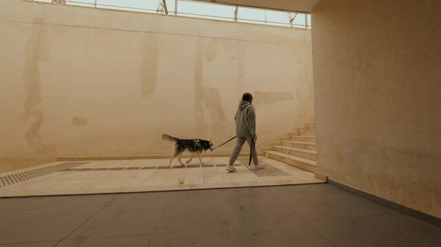 Casual female dog owner walking with Husky pet breed climbing up stairs at stone passage autumn park
