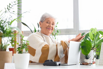 Senior florist with plants and laptop at table in flower shop