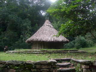 hut in the jungle