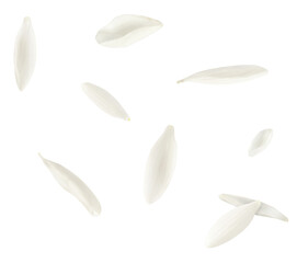 Beautiful Snowdrop flower falling in the air isolated on white background.