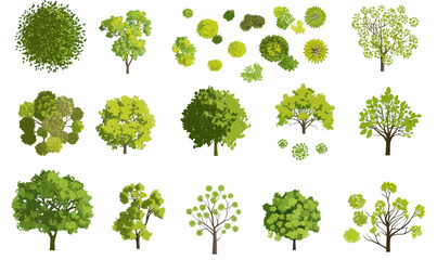 Minimalist Top View Green Tree Vector Set for Landscape and Garden Design