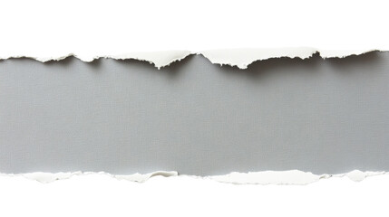 Paper strip with torn edges, revealing textured gray background, isolated on transparent background
