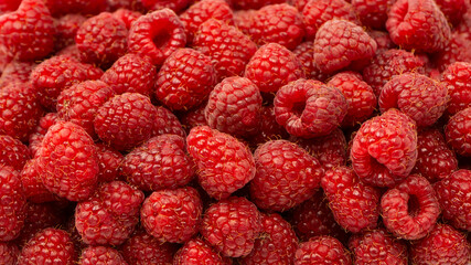 Tasty fresh raspberry as a background.
