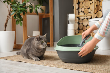 Owner with scoop cleaning cat litter box in restroom
