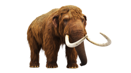 Prehistoric mammoth with tusks, isolated on transparent background