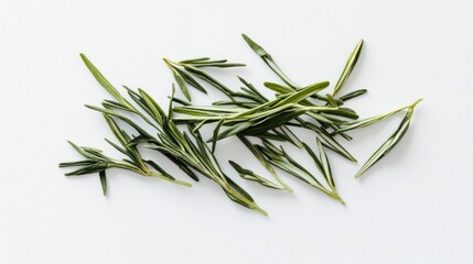 Fototapeta premium Rosemary Sprigs on White Background: A Culinary Herb