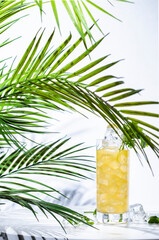 Tequila limeade alcoholic cocktail drink with blanco tequila, agave syrup, cilantro, jalapeno pepper, lime juice and soda. Marble table, white walls, palm leaves with shadow