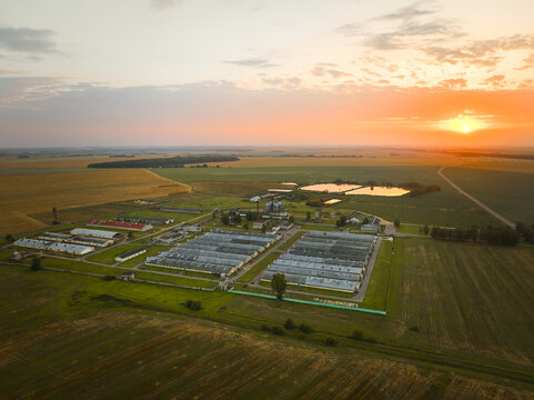 Pig farms in countryside illuminated by evening sun on sky