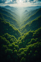 view from the top of the mountain