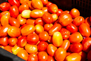 Red tomatoes for sale at a stand. Fruit rich in lycopene, vitamins A, B, C, K, and minerals such as potassium, calcium, magnesium and iron