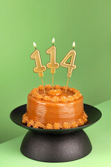 Number 114 birthday candle on a green background - Delicious cake with dulce de leche