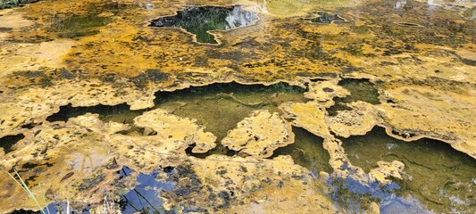 Naturaleza: en lo profundo de la selva hay una fuente de vida