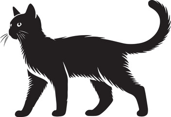 Beautiful Cat icon silhouette vector with white background