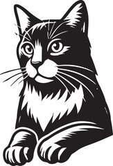 Beautiful Cat icon silhouette vector with white background