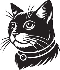 Beautiful Cat icon silhouette vector with white background