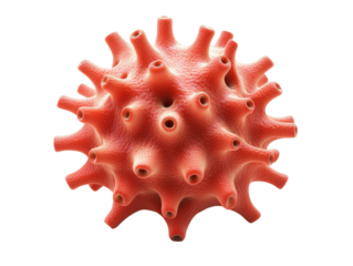 Isolated Coral Spiked Sphere