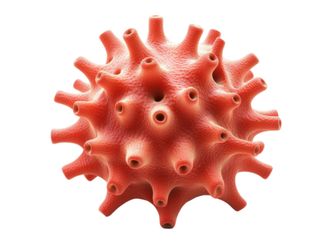 Isolated Coral Spiked Sphere