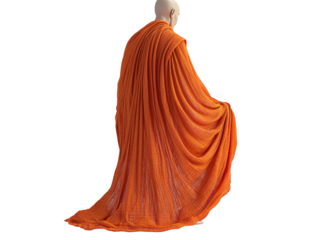 Isolated Orange Clothed Monk from Behind