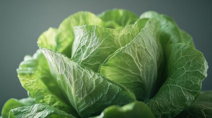 Obraz premium Close-up of fresh, green lettuce head, showing detailed leaf texture and vibrant color against a muted background.