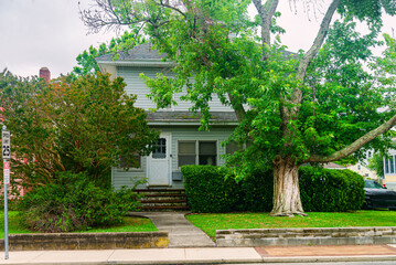 small family home with a concrete walkway over a green lawn and a large tree.