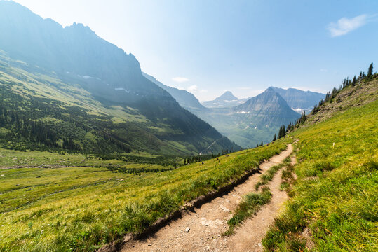 A Beautiful Day In The Park