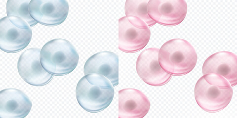 Cells stem isolated on transparent background. Vector medical microscopic molecular conception, science banner. Biology 3d research dna nucleus particles pattern