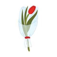 Red tulip in a transparent wrapping with a decorative tie. Perfect for minimalistic designs, romantic gestures, and spring themes. Illustration isolated on white background