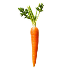 Fresh, vibrant carrot with green tops placed on a clean transparent background ready for culinary use, Fresh carrots on a transparent background
