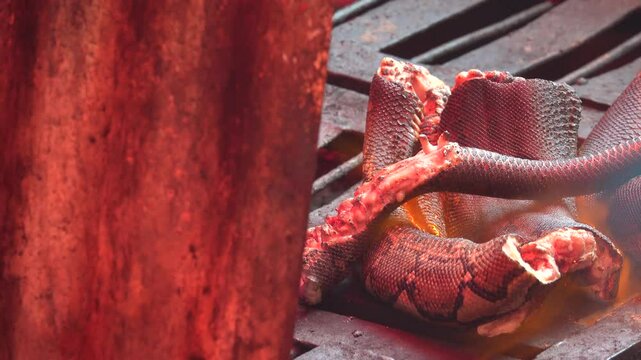 Wet Asian markets. Food tastes disgusting to European. But it's poor country, eat everything here, including rare animal species. Providing population with normal food global problem. Fried python pro