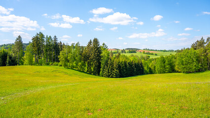 A vibrant green pasture stretches across the foreground, bordered by dense trees. Soft clouds dot the bright blue sky, enhancing the serene atmosphere of spring.