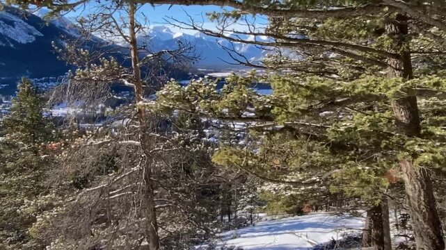 Banff Canada tracking shot through trees overlooking Canadian Rockies
